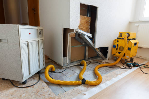 Best HVAC Mold Inspection and Cleaning  in Scotchtown, NY